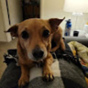 Meet your Posher, Christine